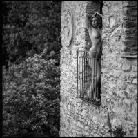 Frantoio Rivaro, Caravonica
&nbsp;
analoges Mittelformat im Originalschnitt Hasselblad